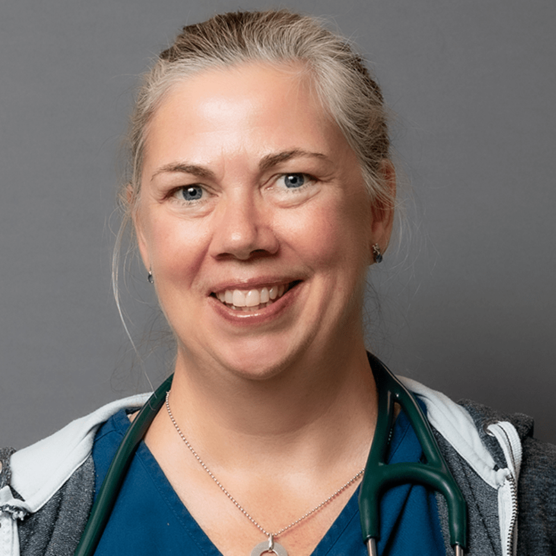 Omemee Veterinarian