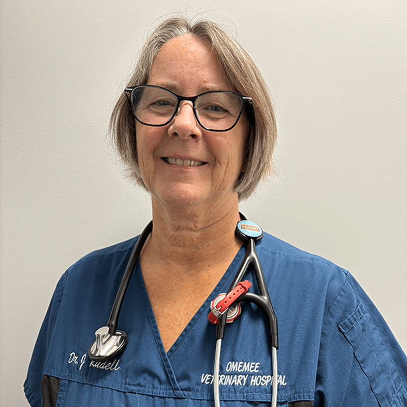 Omemee Veterinarian