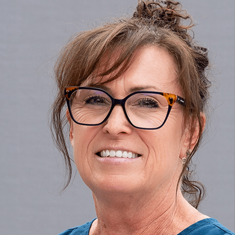 Omemee Veterinarian