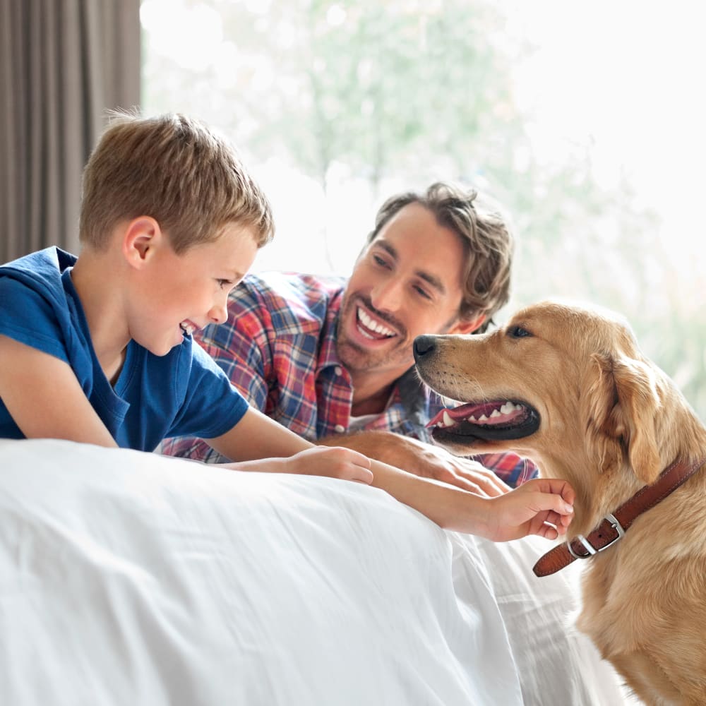 A young boy and his father smile while they pet a golden retriever dog.