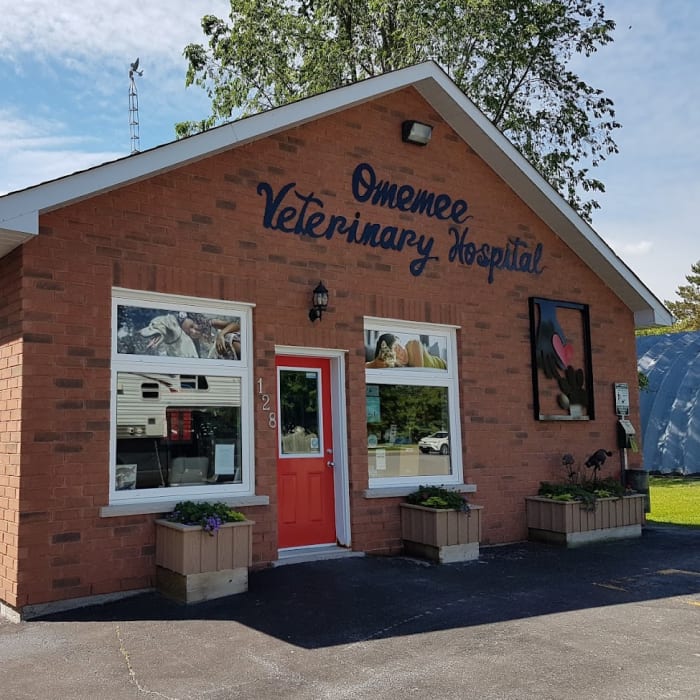 A photo of Omemee Veterinary Hospital in Omemee.