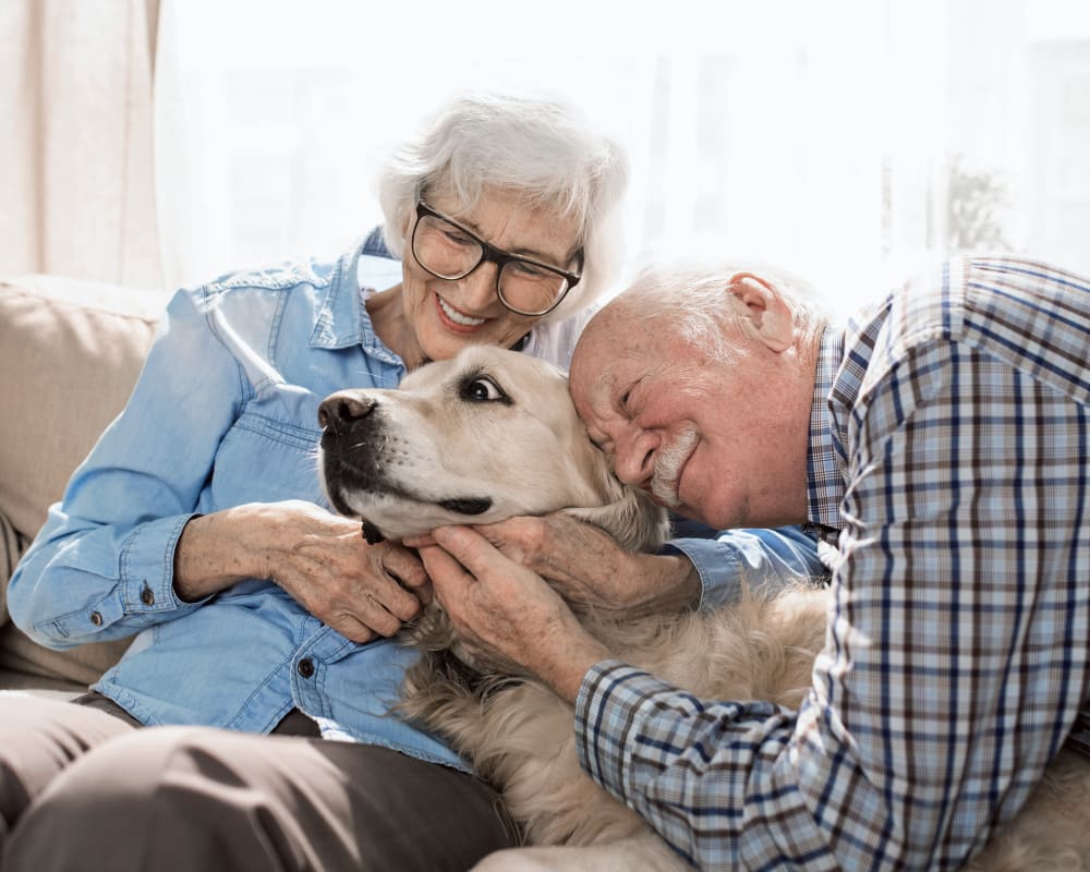 An elderly couples hugs an old looking blonde dog.