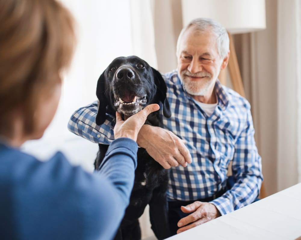An older man has his arm around a senior black labrador while someone else holds its chin.